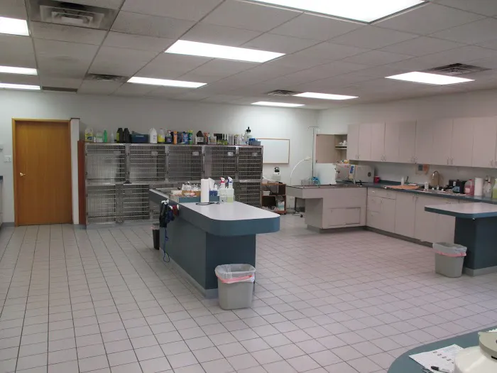 Aberdeen Animal Hospital 12