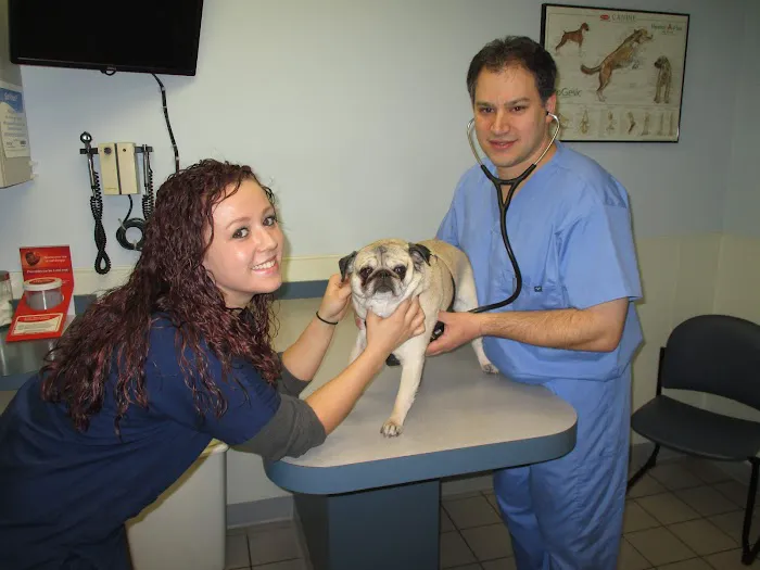 Aberdeen Animal Hospital 12