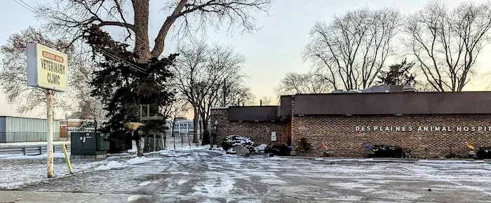 Rising Sun Veterinary Clinic 5
