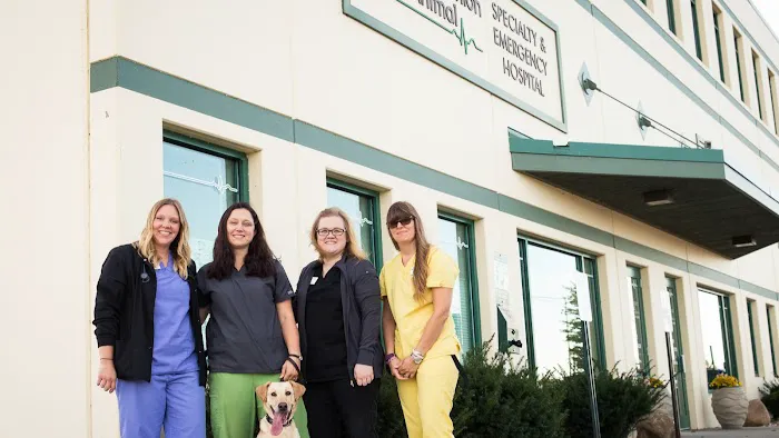 Companion Animal Specialty and Emergency 12