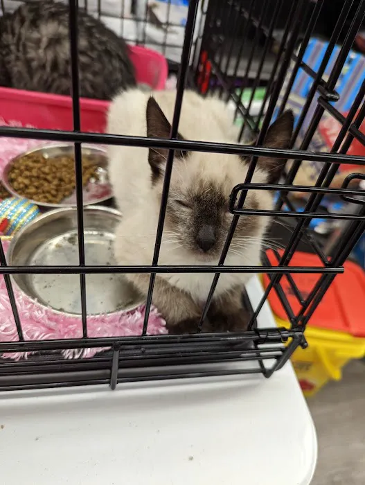 VIP Petcare Vaccination Clinic 12