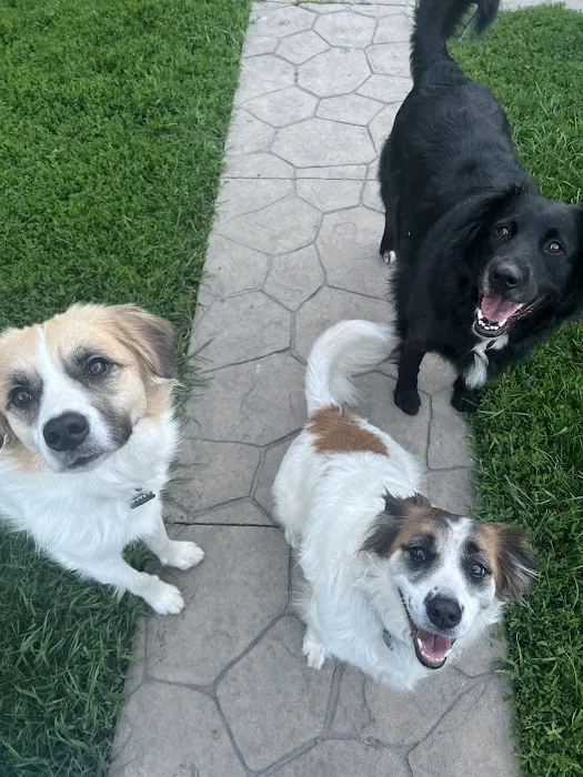 Hilltop Animal Hospital - Experienced Veterinarian in Palatine 6