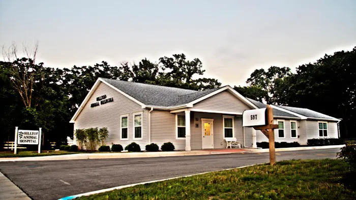 Hilltop Animal Hospital - Experienced Veterinarian in Palatine 1