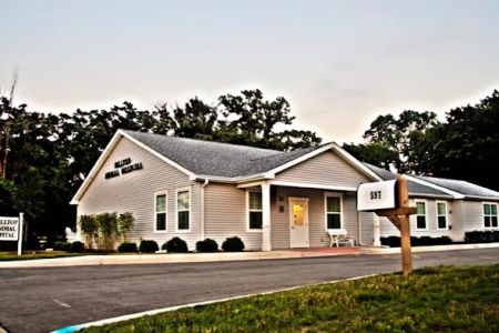 Hilltop Animal Hospital - Experienced Veterinarian in Palatine