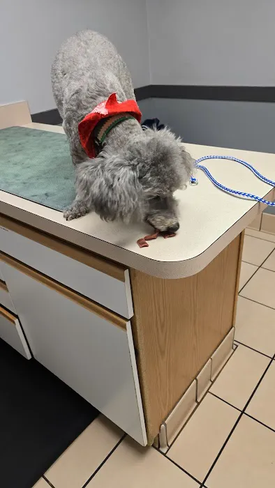 Dundee Animal Hospital 2