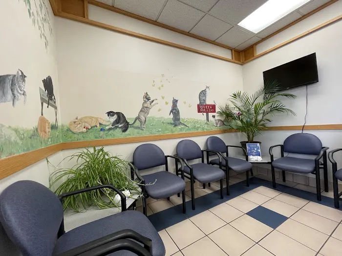 Dundee Animal Hospital 5