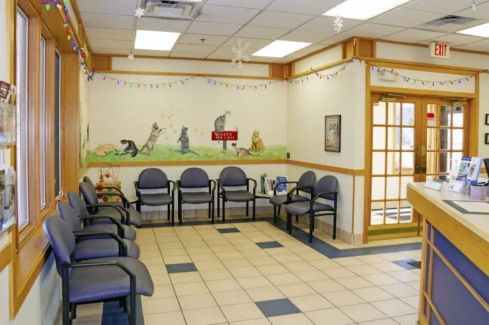 Dundee Animal Hospital 3