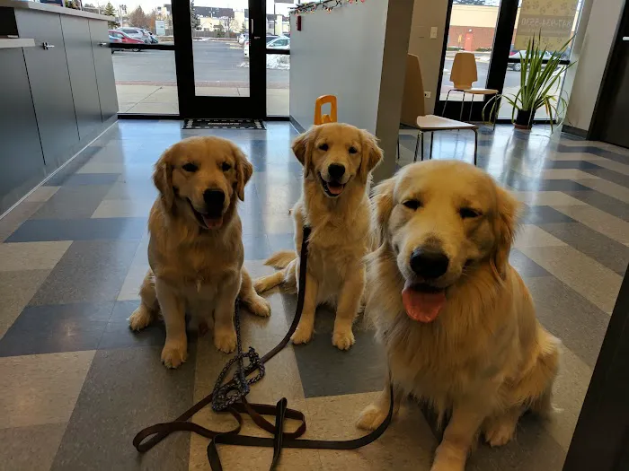 North Hoffman Veterinary Clinic 4