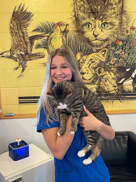 Oakton Animal Hospital 2