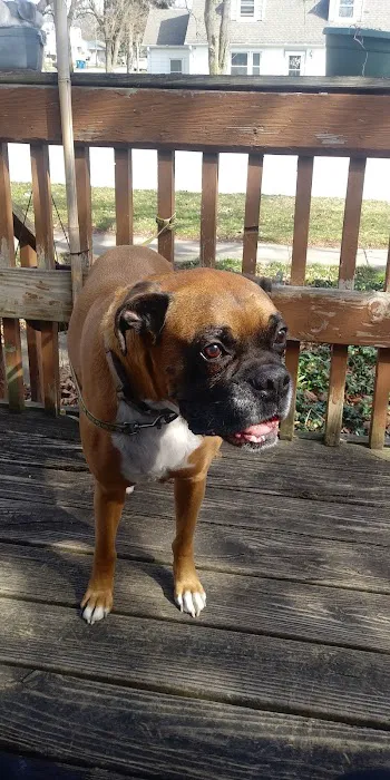 Northwest Animal Hospital 8