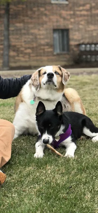 Deer Grove Animal Hospital 7