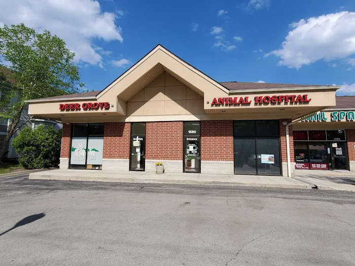 Deer Grove Animal Hospital 4