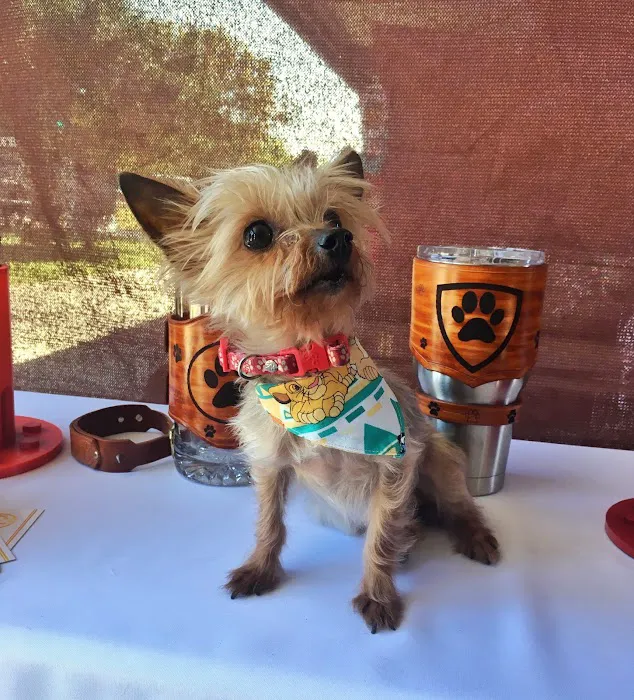 Arizona Veterinary Emergency & Critical Care Center 9