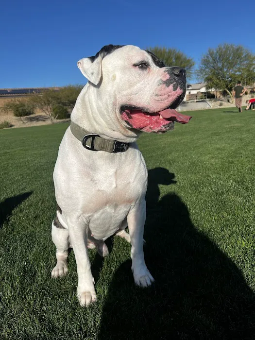 Arizona Veterinary Emergency & Critical Care Center 7