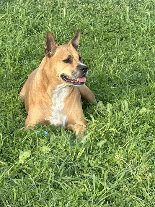 PetSmart Veterinary Services - Phoenix (Metro Center) 10