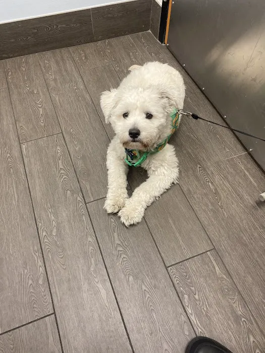 PetSmart Veterinary Services - Phoenix (Metro Center) 6