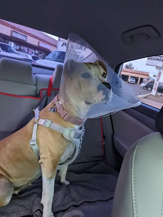 Metro Pet Spay & Neuter 10