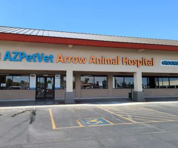 AZPetVet