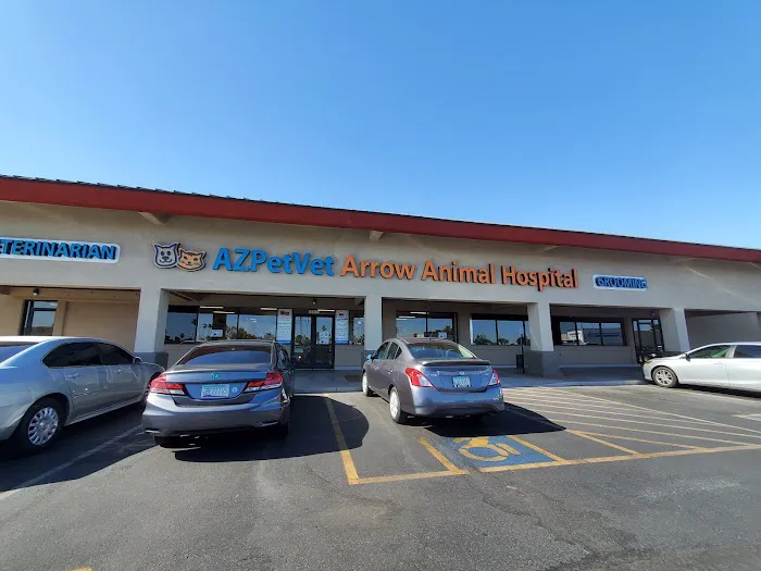 Arrow Animal Hospital PLC: Payton Willow DVM 1
