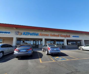 Arrow Animal Hospital PLC: Payton Willow DVM