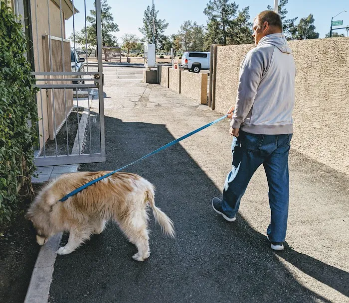 Sunburst Animal Hospital 5