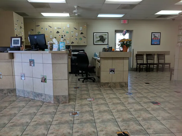 Arrow Animal Hospital & Grooming 3