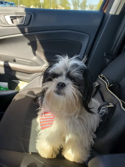 Arrow Animal Hospital & Grooming 4