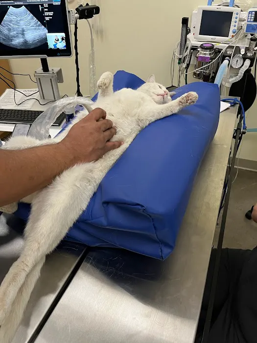 Pet Life Veterinary Clinic 3
