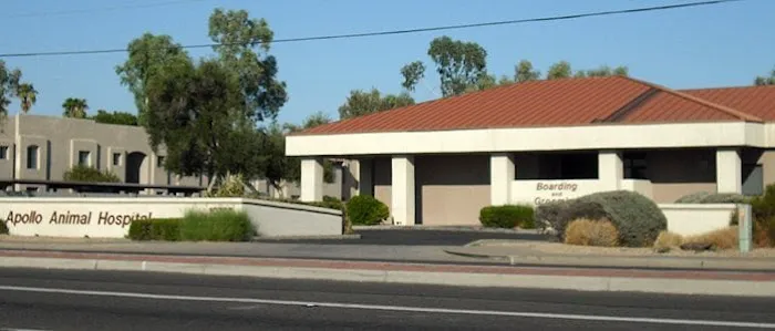 Apollo Animal Hospital 2