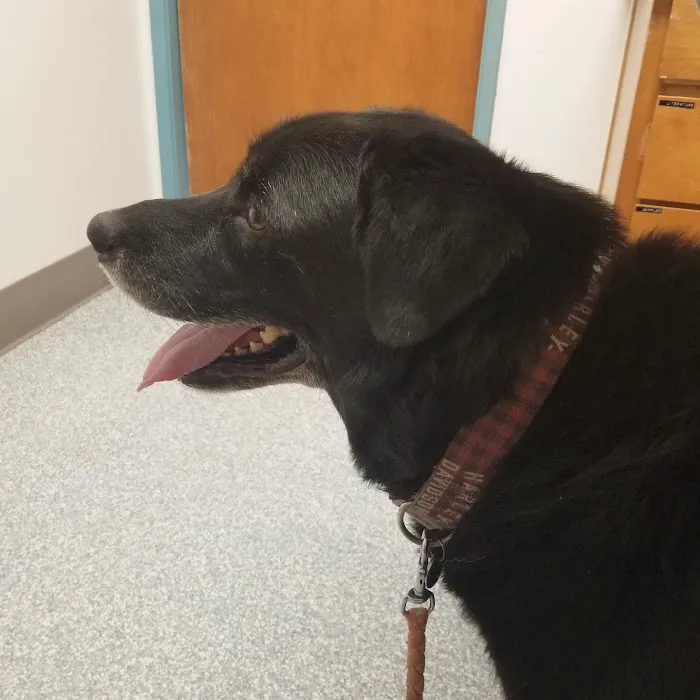 Academy West Animal Hospital 2