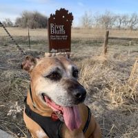 Academy West Animal Hospital ico