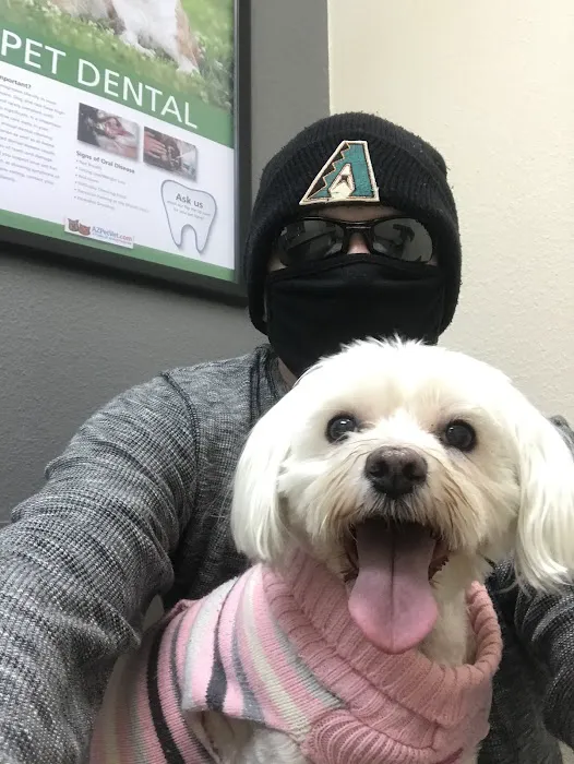 Beardsley Animal Hospital 10