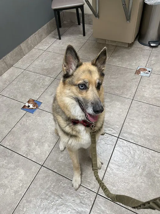 Happy Valley Animal Hospital 2