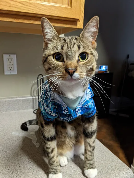 Happy Valley Animal Hospital 4