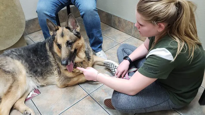 Happy Valley Animal Hospital 7