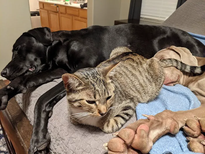 Happy Valley Animal Hospital 6