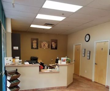 Apollo North Animal Hospital