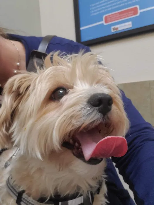 Arrowhead Ranch Animal Hospital 2