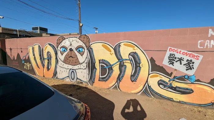 Altered Tails Barnhart Clinic, Phoenix 5