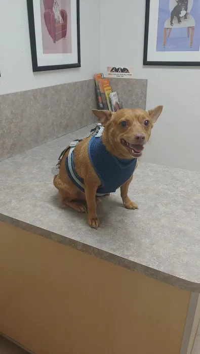 Acoma Animal Clinic 4