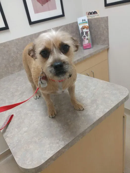 Acoma Animal Hospital 2