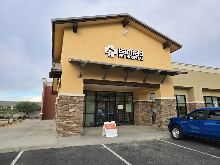 Banfield Pet Hospital 4