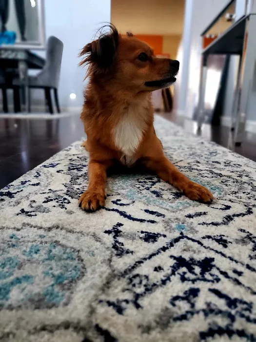 Glendale Animal Hospital 7