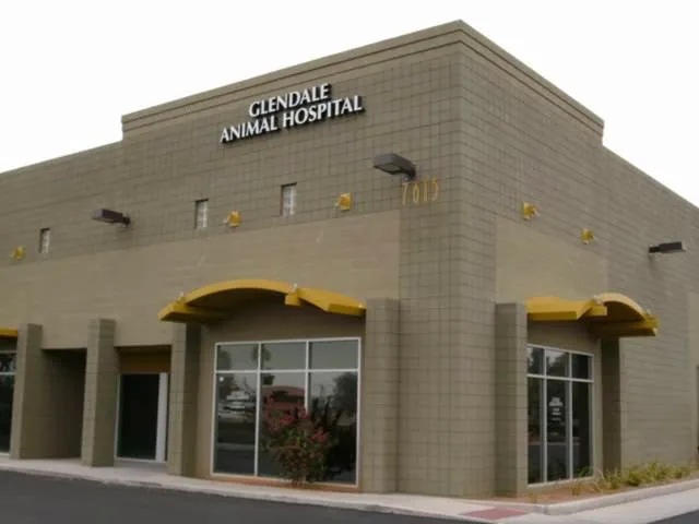 Glendale Animal Hospital 1