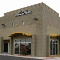 Glendale Animal Hospital ico