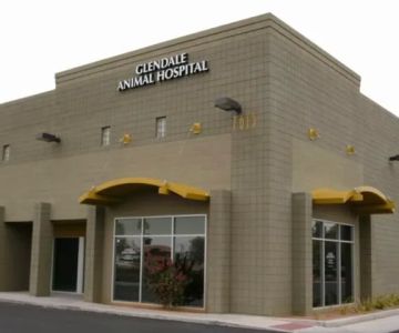 Glendale Animal Hospital