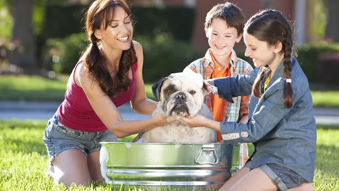 Glendale Animal Hospital 2
