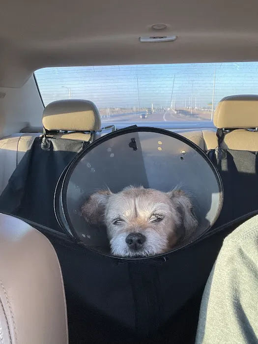 Glendale Animal Hospital 5