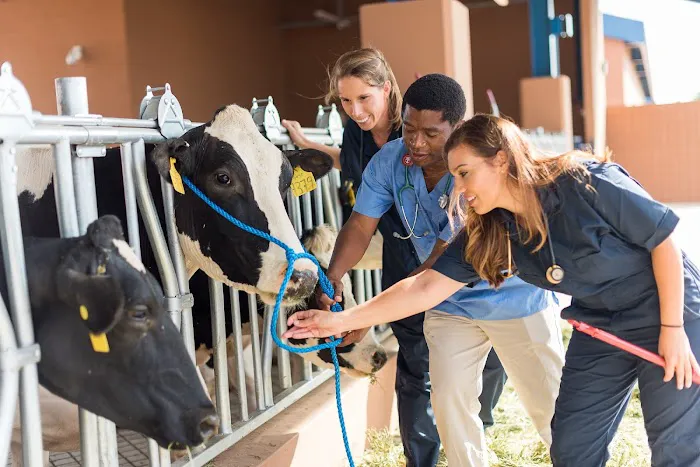 Midwestern University Large Animal Clinic 6