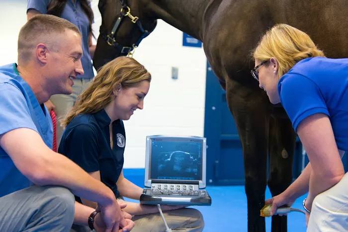 Midwestern University Large Animal Clinic 5